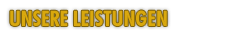 Unsere Leistungen
